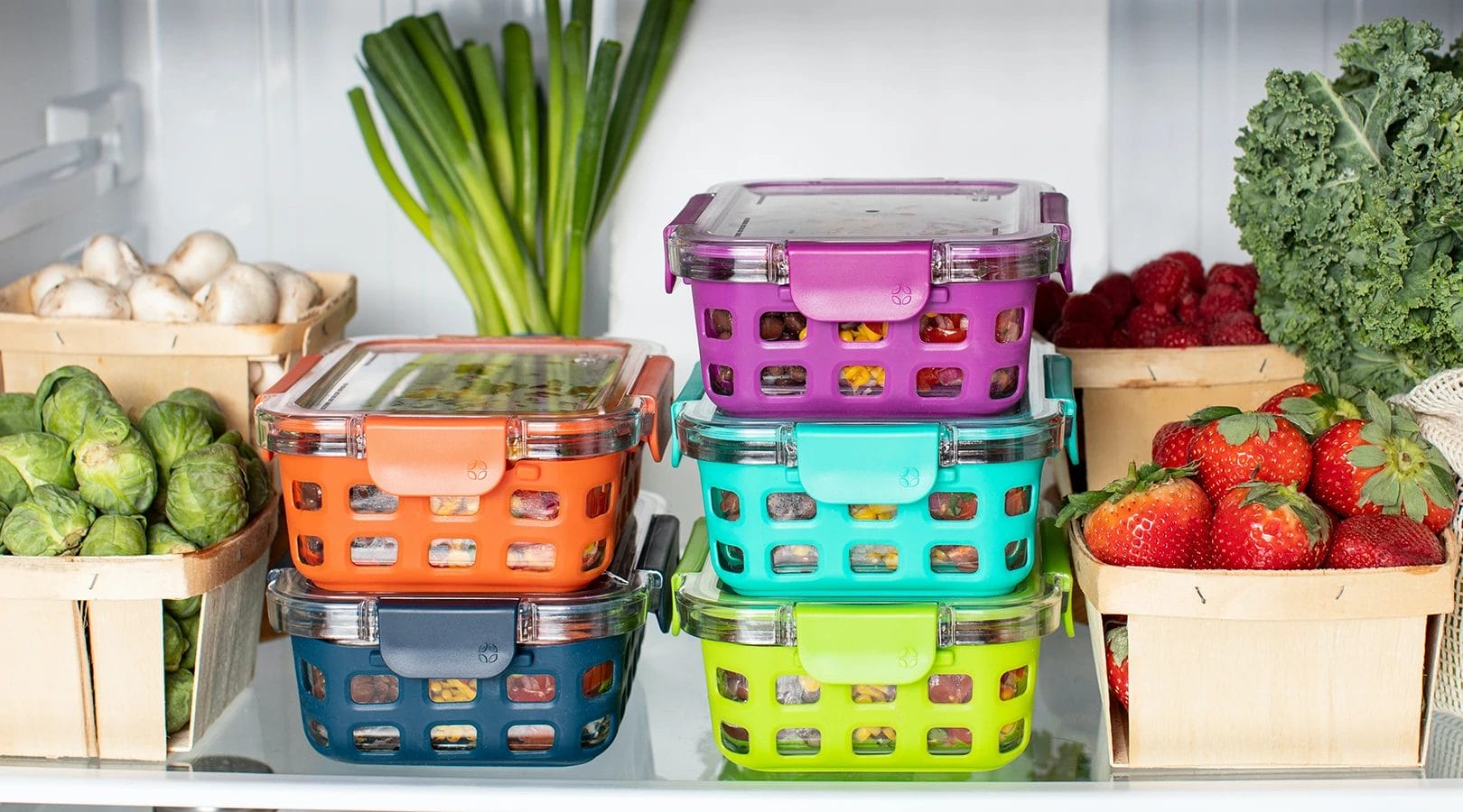 mff nutrition program